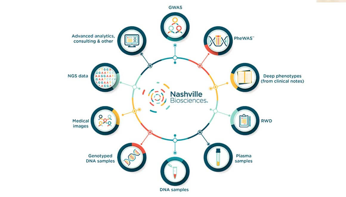 Image of a diagram depicting Nashville Bioscience's areas of innovation.